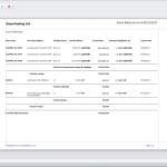 Inventory - Stock Balances Report